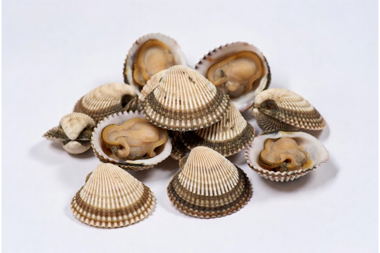 Cockles - 120g Cockles - 120g
