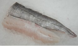 Hake