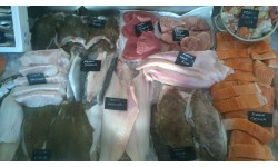 Premier Fish Box