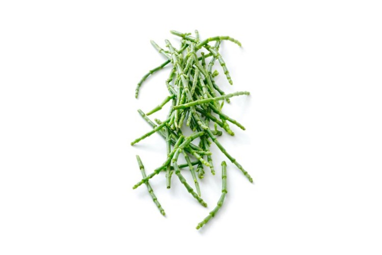 Samphire - 100g