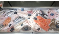 Favourites Fish Box