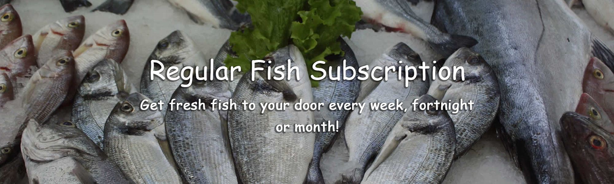 Fish delivery subscription service