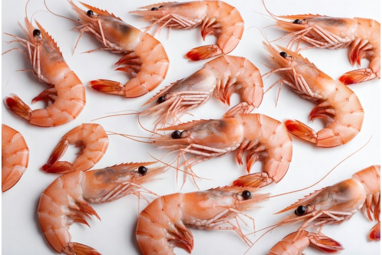 Prawns in Brine - 128g Prawns in Brine - 128g