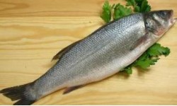 Sea Bass